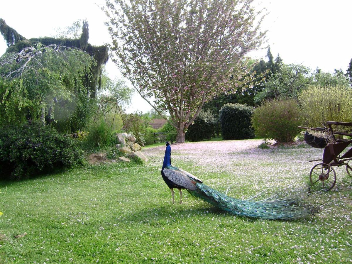 Bed and Breakfast La Ferme Du Bourg Eraines Exteriér fotografie